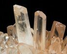 Tangerine Quartz Crystal Cluster - Madagascar #58823-3